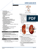 Pathology 5.01.1 Kidney I - Dr. Mesina