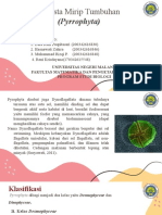 Phyrrophyta Kelompok 3
