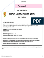 Solicitud de Pase Laboral Alejandro