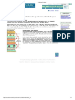 Radiometric Dating