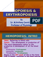 The Physiology of Blood