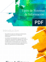 Sistema D Informacion Tipos