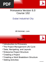 Download Primavera_60_Course by Duaa Galal Salah SN53150261 doc pdf