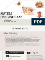 Sistem - Penginderaan - Risqi Sabriansyah (17010123)