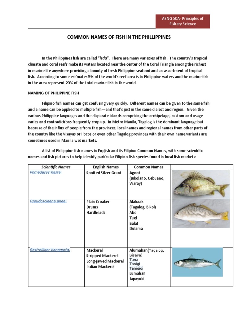 Philippine Fish Names and Translations | PDF | Philippines | Fish