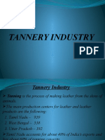 Tannery Industry 3