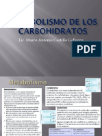 Sesion 6 - Perfil Glucídico-Metabolismo de Carbohidratos