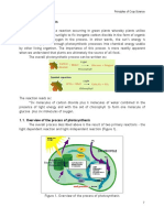 CpSci 101 - MODULE 1 - Lesson 2 - Photosynthesis