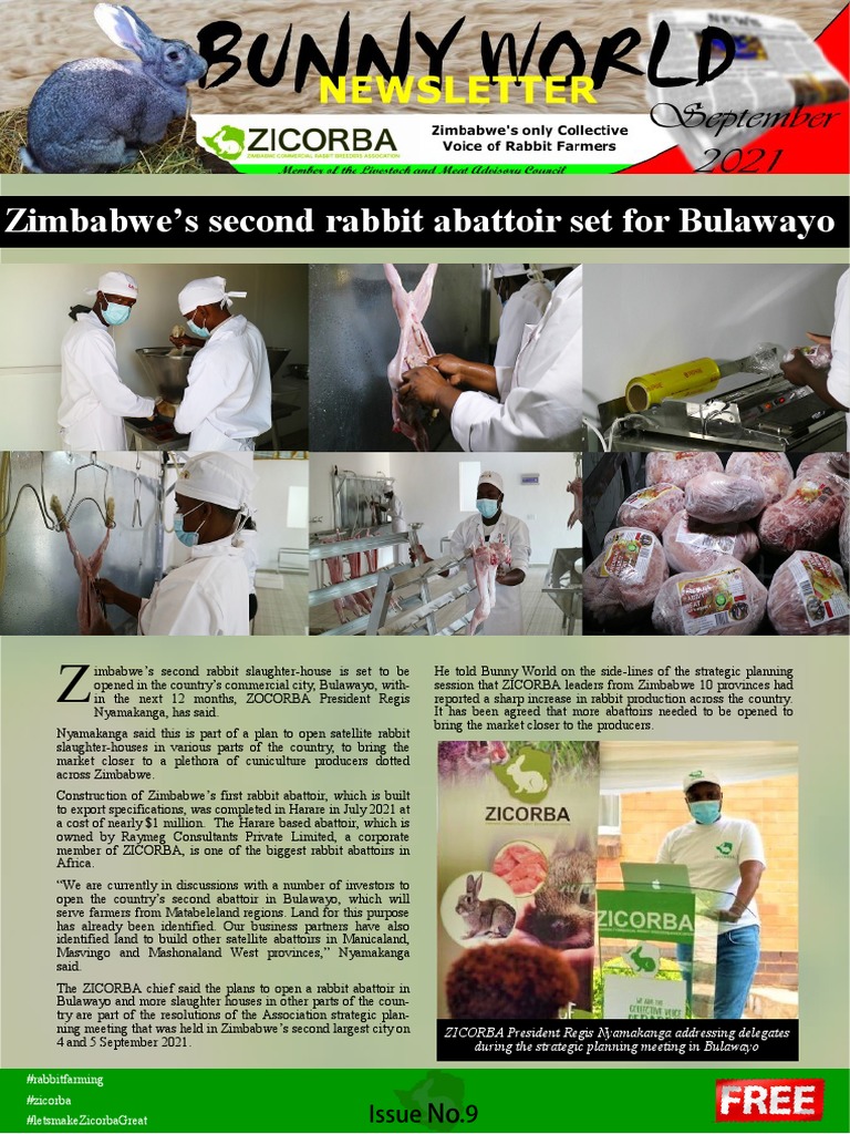 Zimbabwe'S Second Rabbit Abattoir Set For Bulawayo: #Rabbitfarming # ...