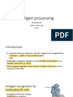 Antigen Processing and Presentation by MHC Class I and II Molecules