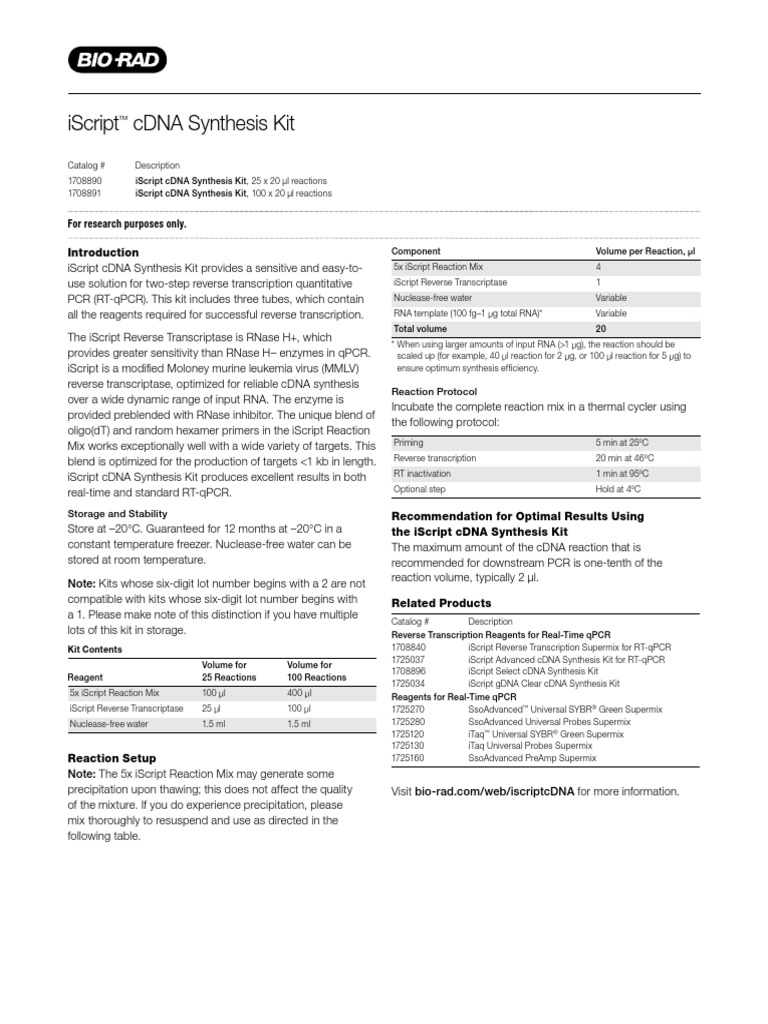 cDNA Synthesis Kit Biorad PDF | PDF | Complementary Dna | Real Time ...
