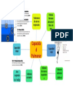 Capacidad Pulmonar