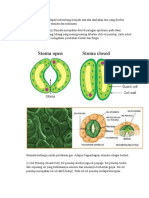 Struktur dan Fungsi Stomata dan Trikomata