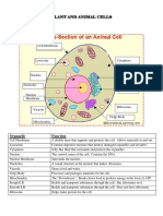 Cells Study Guide_2
