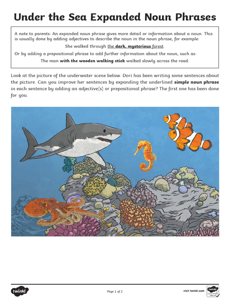 Under the Sea: Expanded Noun Phrases | PDF | Language Arts & Discipline