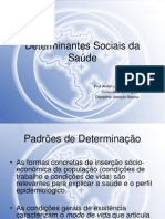 Aula - Determinantes Sociais da Saude - Aline Leite