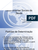 Aula - Determinantes Sociais Da Saude - Aline Leite