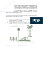 Producción agroforestal