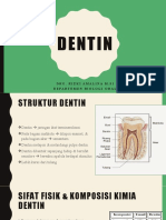 Dentin Biologi Oral