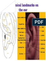 Anatomical Landmark on the Ear