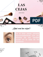 Clase Cejas [Autosaved]