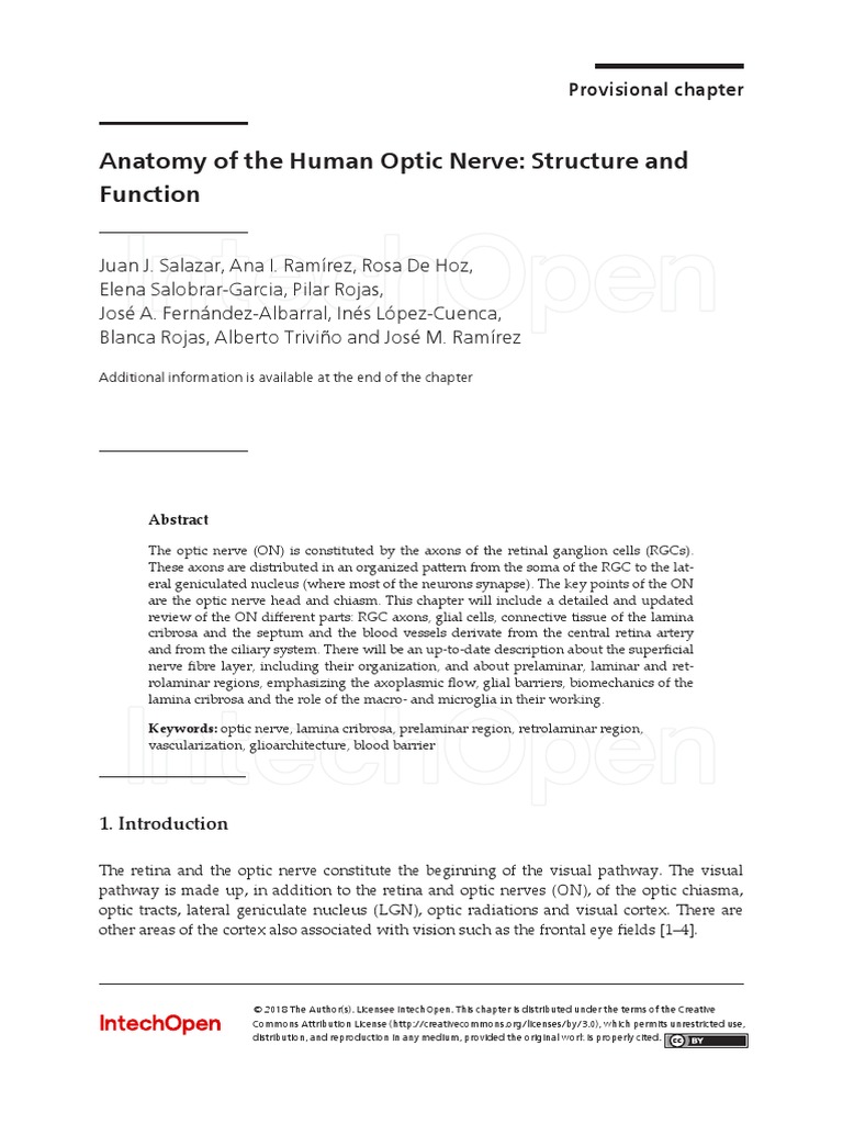 Anatomy of The Human Optic Nerve: Structure and Function: Provisional ...