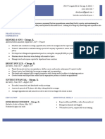 Professional Resume Template Ice Blue