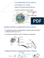 Interacción de La Radiación Con La Célula