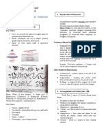 Topic V: Characterization and Classification of Prokaryotes: A. General Characteristics of Prokaryotic Organism