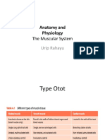 Anatomi Dan Fisiologi Musclucar System