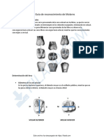 Guia de Reconocimiento de Molares