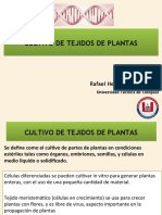 Cultivo in vitro de plantas - copia (2)