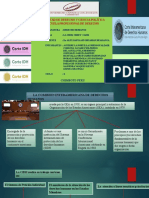 Comision, Corte y Convención Interamericana de Derechos Huamnos