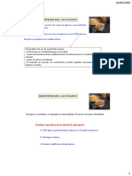 Tema 10. Metabolismo del glucógeno (2018-2019) - copia