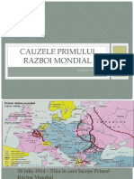 Cauzele Primului Razboi Mondial