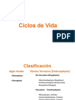 Ciclos de Vida