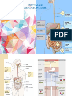 Curs - Anatomia Si Fiziologia Digestiei 1