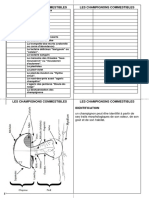 Carnet Des Champignons