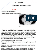 nucleic acid final