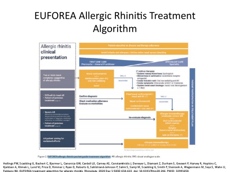 EUFOREA Allergic Rhinitis Algorithm | PDF