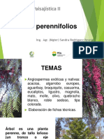 Arboles Perennifolios - 2020