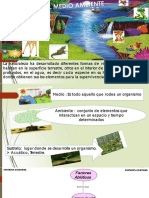 Unidad 2. Estructura Del Medio Ambiente