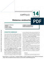Sistema Endocrino - García Porrero PDF