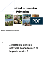 Actividades Economicas - PRIMARIAS - 13-05-21