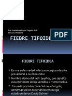 Salmonelosis y Fiebre Tifoidea
