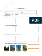 3ºU EU Plantas de mi país Adecuacion Josefa