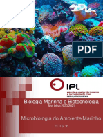 Aula 1 e 2 - Introdução Microbiologia Marinha