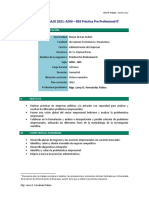 Plan de Trabajo 2021 - ADM - 803 Práctica Pre Profesional II