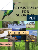 Ecosistemas Por