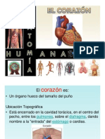 Corazon Humano - PPT